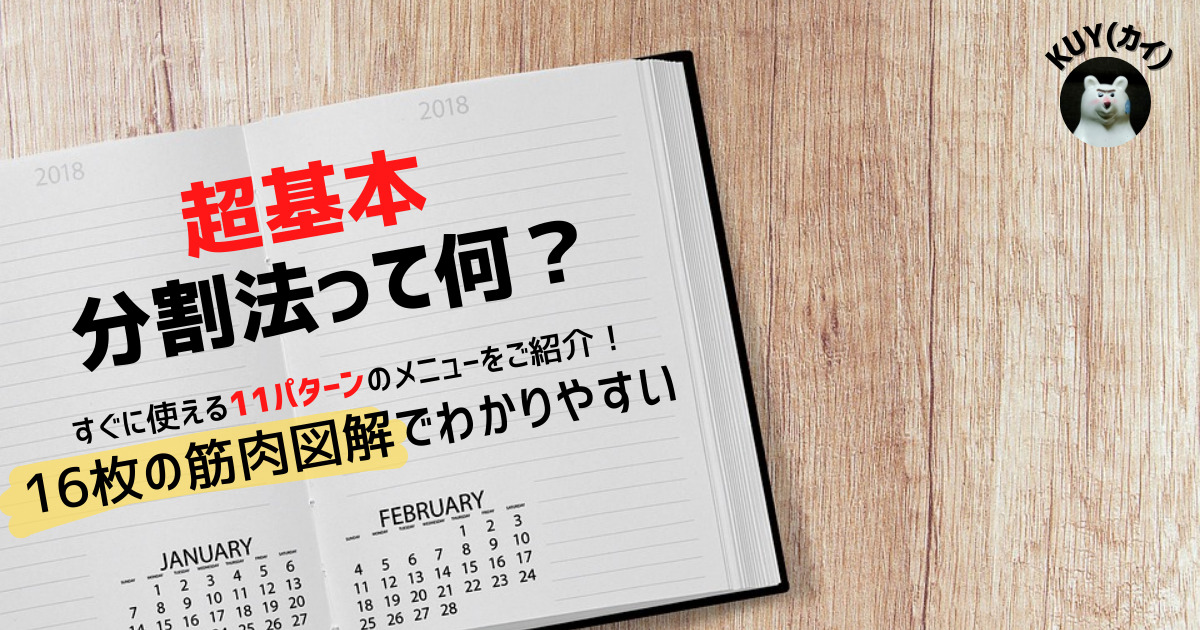 【分割法】11パターンのメニューと16枚の筋肉図解でご紹介