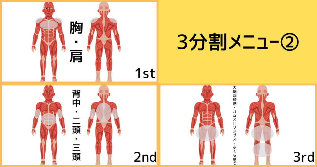 【3分割法】3分割メニュー②の筋肉図解