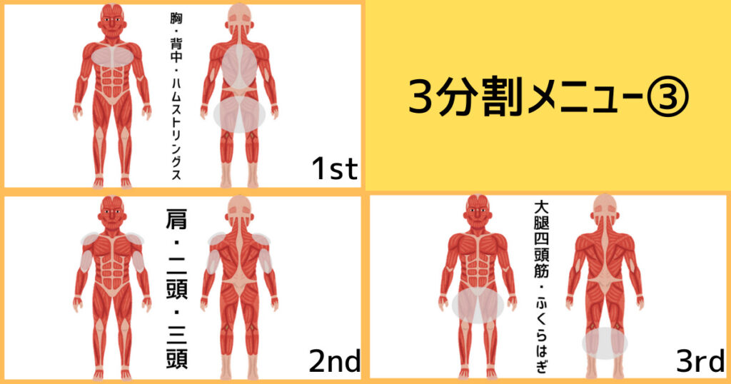 【3分割法】3分割メニュー③の筋肉図解