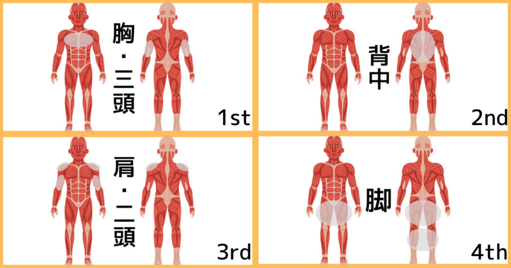 【4分割法】4分割メニュー①の筋肉図解