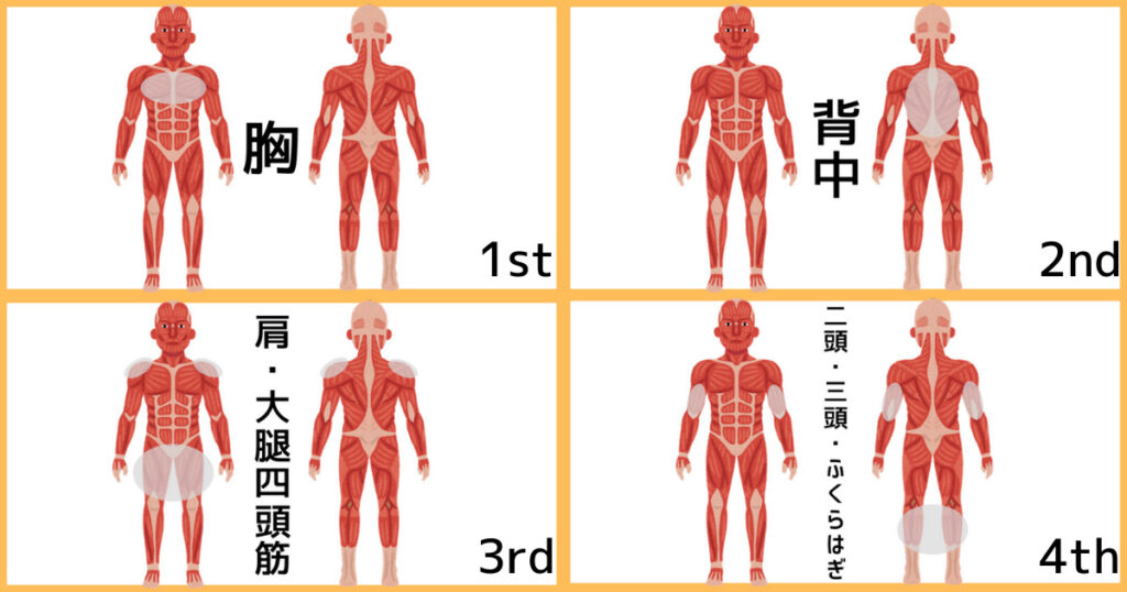 【4分割法】4分割メニュー②の筋肉図解