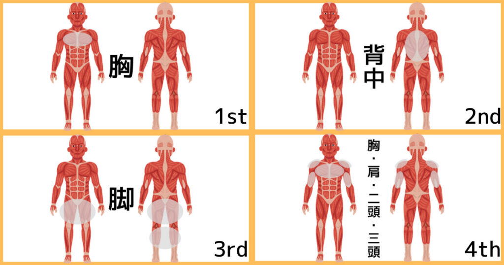 【4分割法】4分割メニュー③の筋肉図解