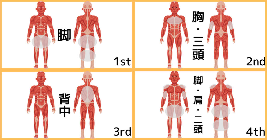 【4分割法】4分割メニュー④の筋肉図解