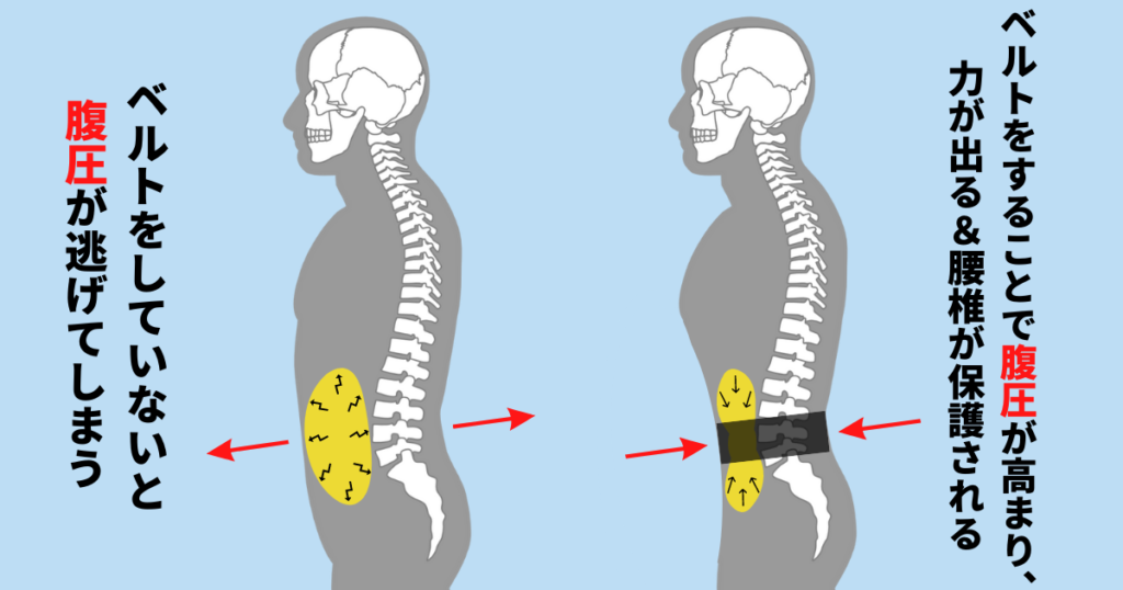 トレーニングベルトのメリット・効果【図解あり】｜腹圧をかけやすくする｜ベルトをしている場合としていない場合の図解