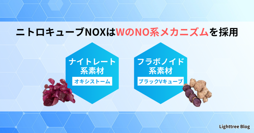 ニトロキューブNOXはWのNO系メカニズムを採用｜ナイトレート系素材【オキシストーム】フラボノイド系素材【ブラックVキューブ】