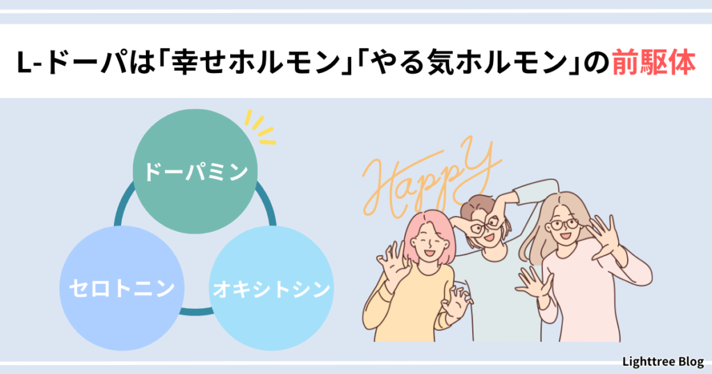 【L-ドーパは「幸せホルモン」「やる気ホルモン」の前駆体】3大幸せホルモンのドーパミン・セロトニン・オキシトシン