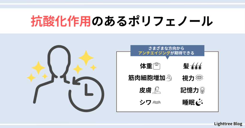 【抗酸化作用のあるポリフェノール】さまざまな方向からアンチエイジングが期待できる。体重・筋肉細胞増加・皮膚・シワ・髪・視力・記憶力・睡眠