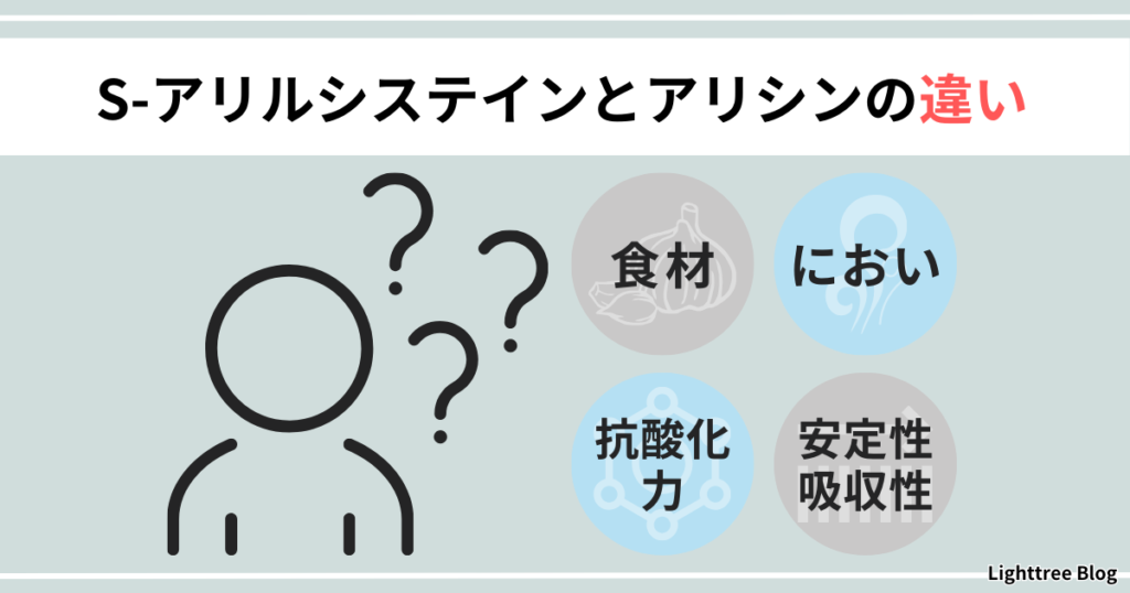 【S-アリルシステインとアリシンの違い】食材・におい・抗酸化力・安定性・吸収性