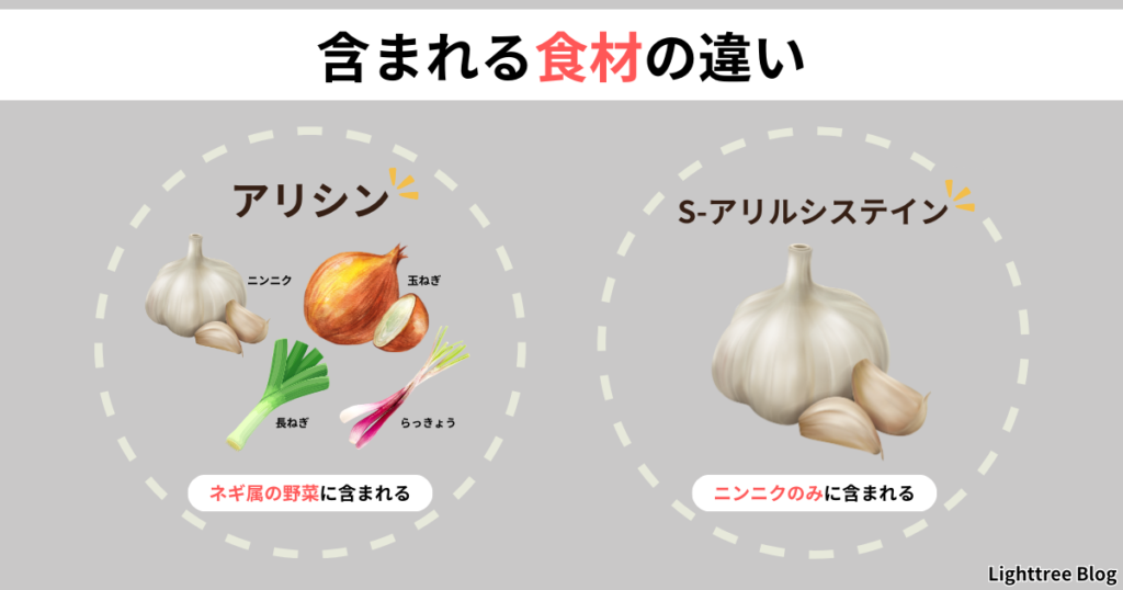 【含まれる食材の違い】アリシン…ニンニク、玉ねぎ、長ねぎ、らっきょうなどネギ属の野菜に含まれる
S-アリルシステイン…ニンニクのみに含まれる