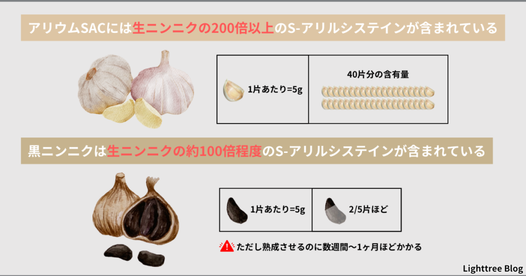 アリウムSACには生ニンニクの200倍以上のS-アリルシステインが含まれている。1片あたり5g、40片分の含有量。
黒ニンニクは生ニンニクの約100倍程度のS-アリルシステインが含まれている。1片あたり5g、2/5片ほど。ただし熟成させるのに数週間～1ヶ月ほどかかる