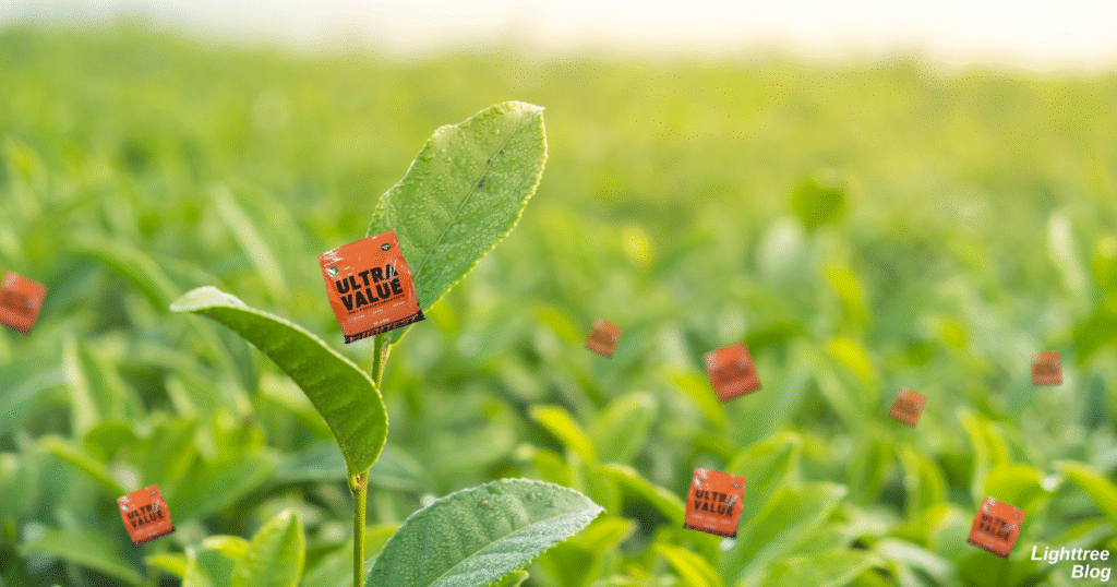 抹茶畑にたくさんなっているリミテストのホエイプロテイン ULTRA VALUE【抹茶】