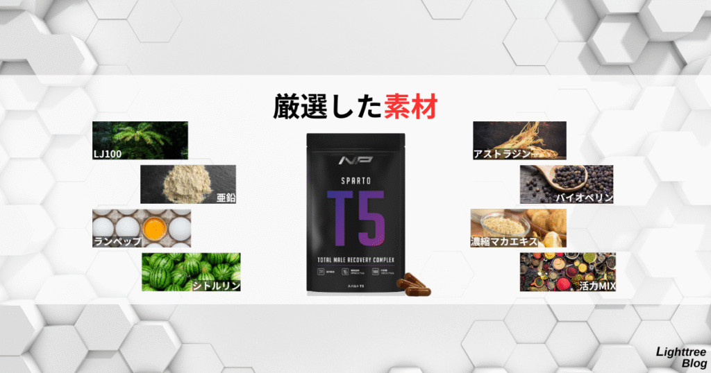 【厳選した素材】LJ100・亜鉛・ランペップ・シトルリン・アストラジン・バイオペリン・濃縮マカエキス・活力MIX