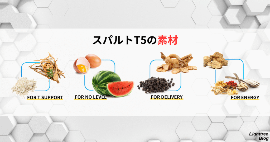 スパルトT5の素材