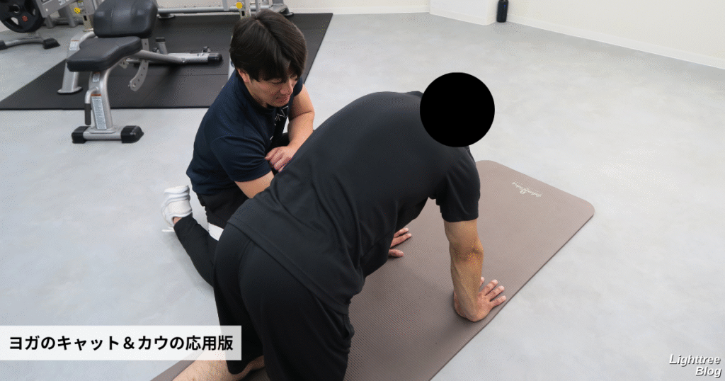 ヨガのキャット＆カウの応用版