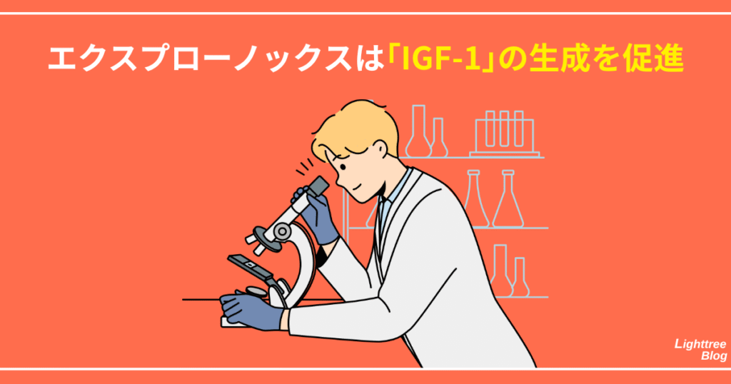エクスプローノックスは「IGF-1」の生成を促進