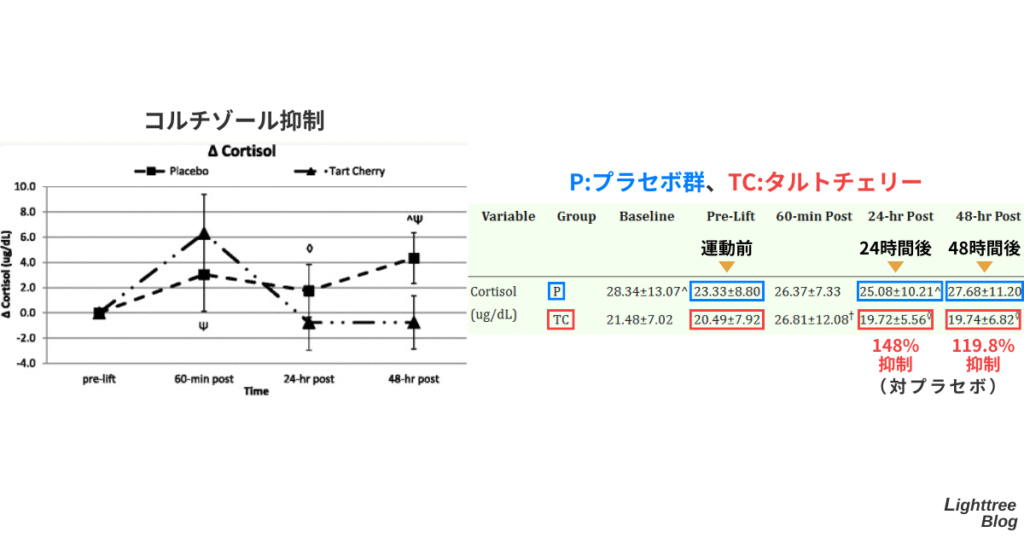 【コルチゾール抑制】バックスクワット前とバックスクワット24時間後、48時間後をチェリーピュア摂取群とプラセボ群で比較