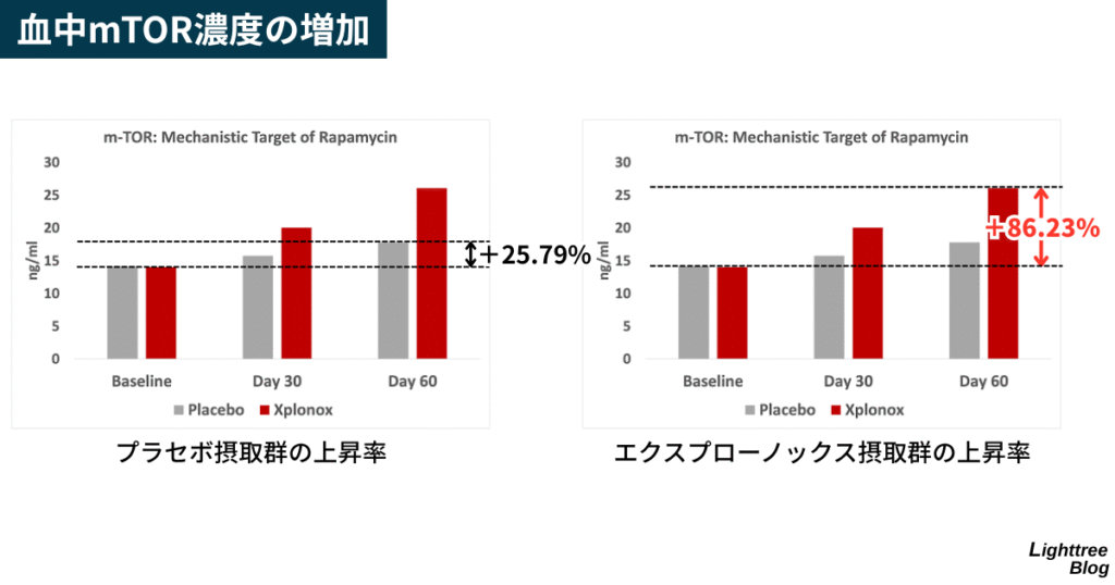 【血中mTOR濃度の増加】
プラセボ摂取群の上昇率は+25.79%、エクスプローノックス摂取群の上昇率は+86.23%