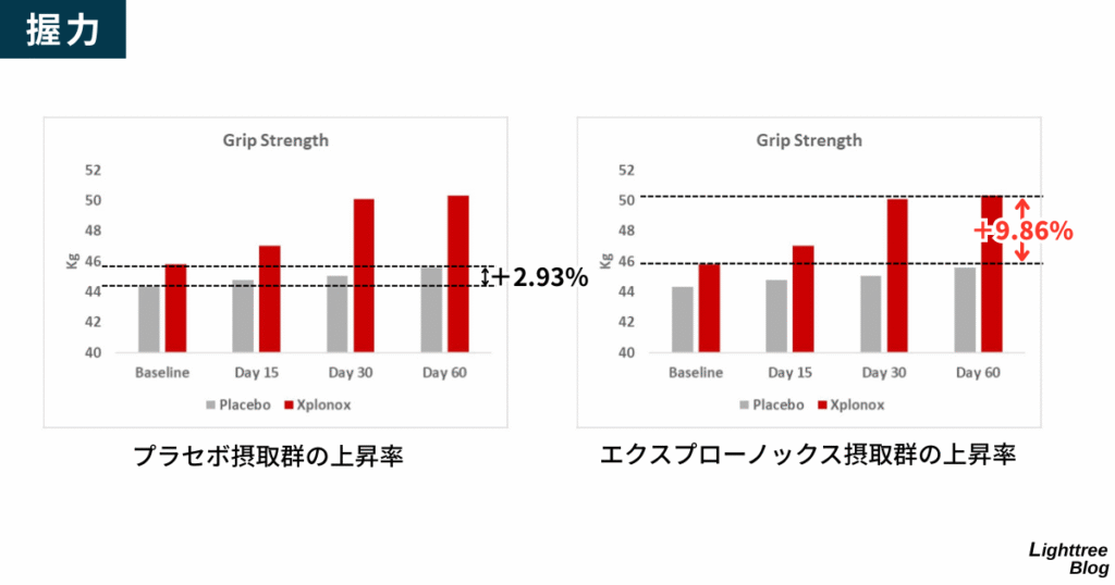 【握力】
プラセボ摂取群の上昇率は+2.93%、エクスプローノックス摂取群の上昇率は+9.86%