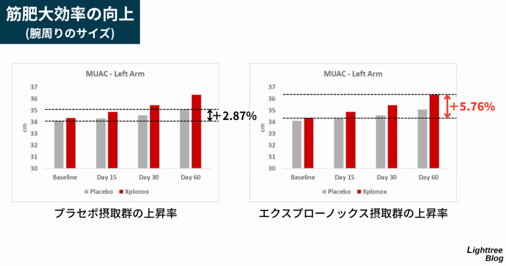 【筋肥大効率の向上(腕周りのサイズ)】
プラセボ摂取群の上昇率は+2.87%、エクスプローノックス摂取群の上昇率は+5.76%