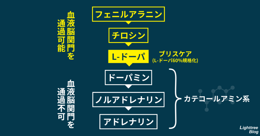 【血液脳関門を通過可能】フェニルアラニン→チロシン→L-ドーパ（ブリスケア…L-ドーパ60%規格化）
【血液脳関門を通過不可（カテコールアミン系）】ドーパミン→ノルアドレナリン→アドレナリン