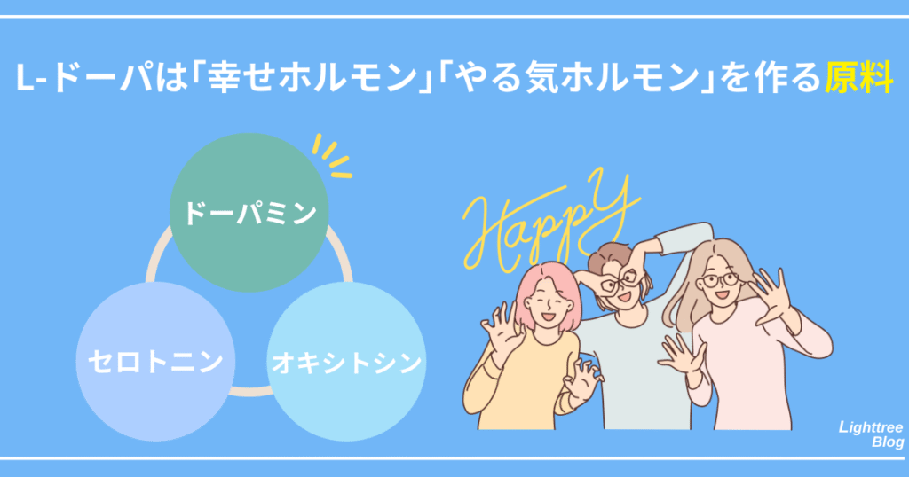 L-ドーパは「幸せホルモン」「やる気ホルモン」を作る原料