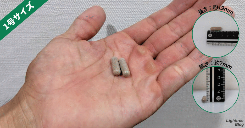 テストエイドOTMは1号サイズ
長さ:約19mm
暑さ:約7mm