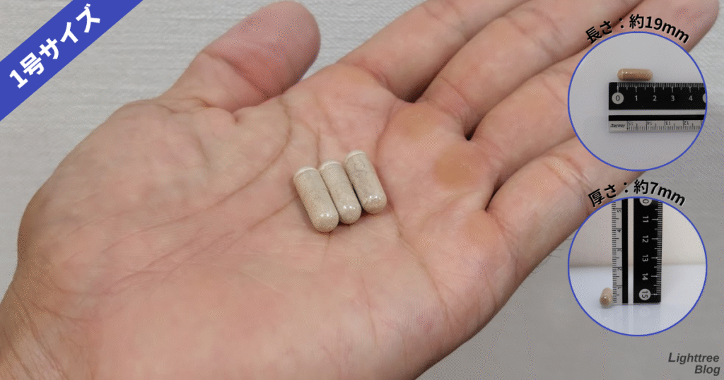 テストインクリースXTAは1号サイズ
長さ:約19mm
暑さ:約7mm