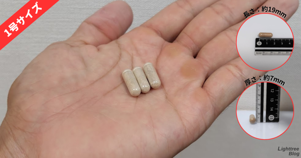 テストチャージSTPは1号サイズ
長さ:約19mm
暑さ:約7mm