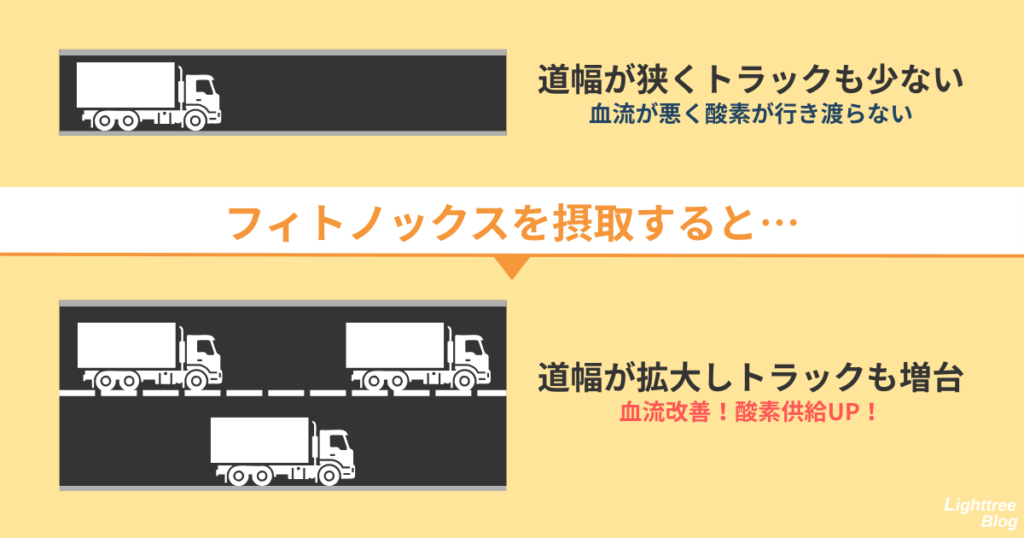 道幅が狭くトラックも少ない（血流が悪く酸素が行き渡らない）
フィトノックスを摂取すると…
道幅が拡大しトラックも増台（血流改善！酸素供給UP！）