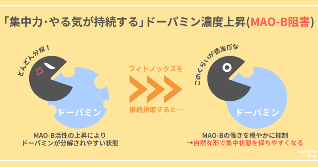 【「集中力・やる気が持続する」ドーパミン濃度上昇（MAO-B阻害）】
MAO-B活性の上昇によりドーパミンが分解されやすい状態
フィトノックスを継続摂取すると…
MAO-Bの働きを穏やかに抑制→自然な形で集中状態を保ちやすくなる