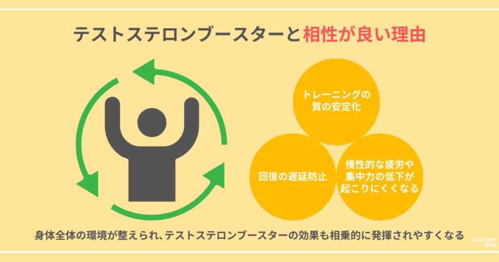 【テストステロンブースターと相性が良い理由】
トレーニングの質の安定化
回復の遅延防止
慢性的な疲労や集中力の低下が起こりにくくなる
身体全体の環境が整えられ、テストステロンブースターの効果も相乗的に発揮されやすくなる