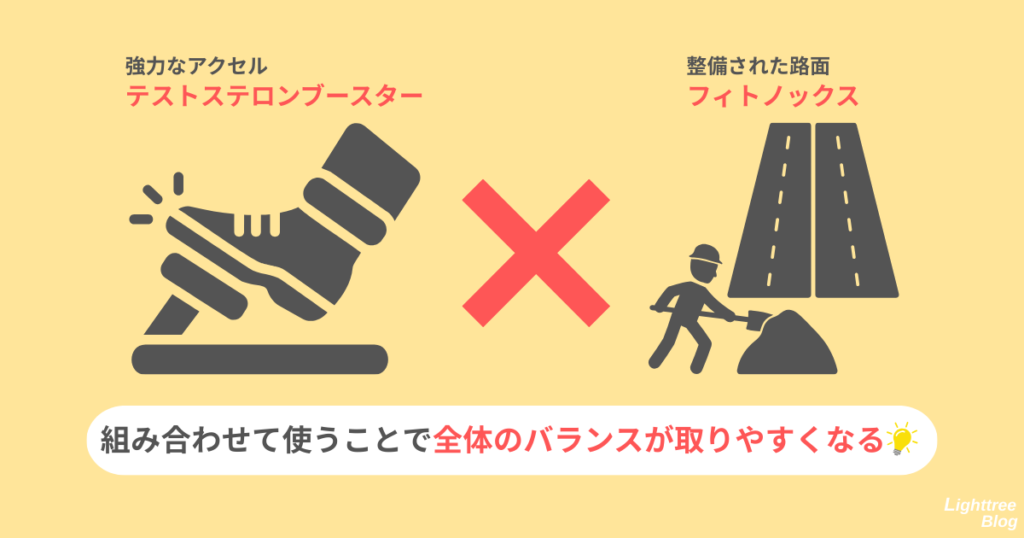 強力なアクセル：テストステロンブースター
整備された路面：フィトノックス
組み合わせて使うことで全体のバランスが取りやすくなる