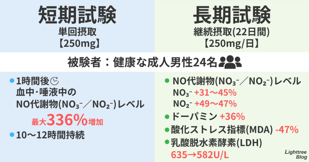短期試験
単回摂取【250mg】
被験者：健康な成人男性24名
1時間後、血中唾液中のNO代謝物（NO₃⁻／NO₂⁻）レベル最大336%増加
10～12時間持続
長期試験
継続摂取（22日間）【250mg/日】
被験者：健康な成人男性24名
NO代謝物（NO₃⁻／NO₂⁻）レベル
NO₃⁻ +31～45%
NO₂⁻ +49～47％
ドーパミン +36%
酸化ストレス指標（MDA)-47%
乳酸脱水素酵素（LDH）635→582U/L