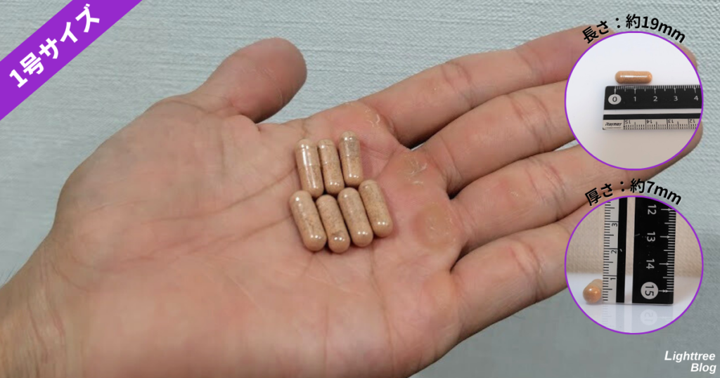 セラバスD6は1号サイズ
長さ：約19mm
暑さ：約7mm